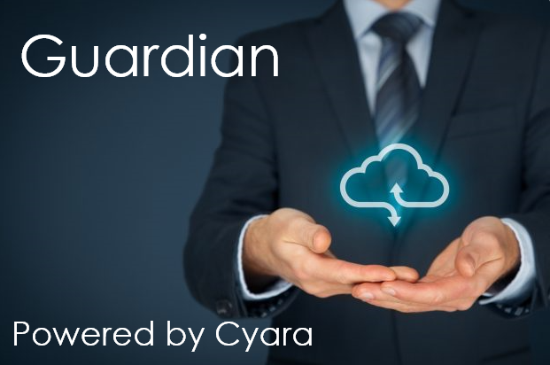 Guardian - Automated CX Monitoring logo